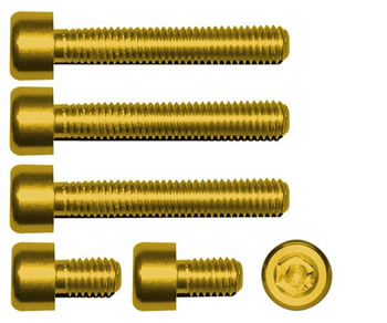 Gas cap screw kit Color Gold | ID GTBK501G
