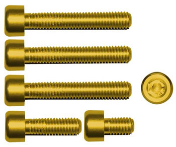 Gas cap screw kit Color Gold | ID GTBK801G